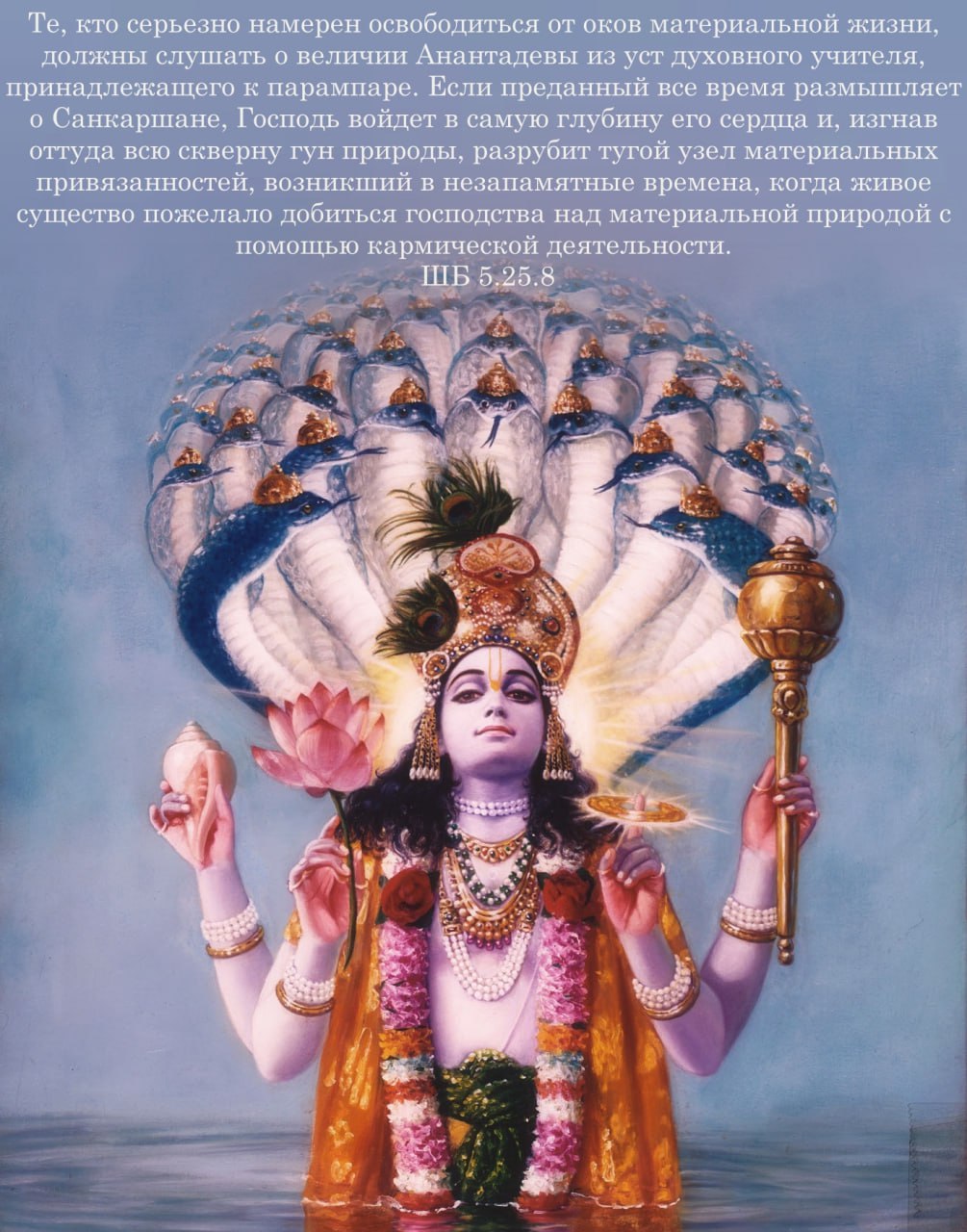 Шримад Бхагаватам 5.25.8