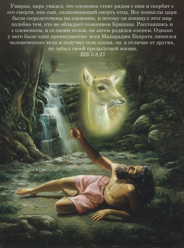 Шримад Бхагаватам 5.8.27