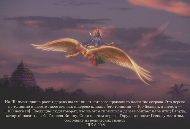 Шримад Бхагаватам 5.20.8